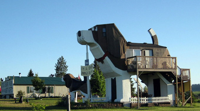          ,   ,    , -    Dog Bark Park Inn . ,  