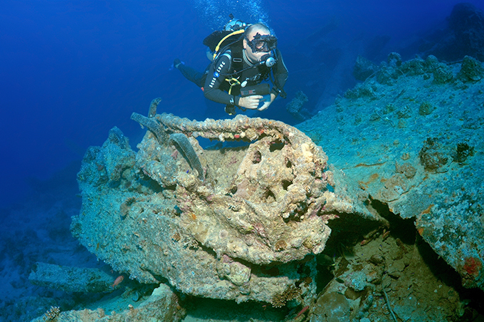 На дне красного моря