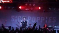 Группа Sick Puppies: страстно, круто и нереально 